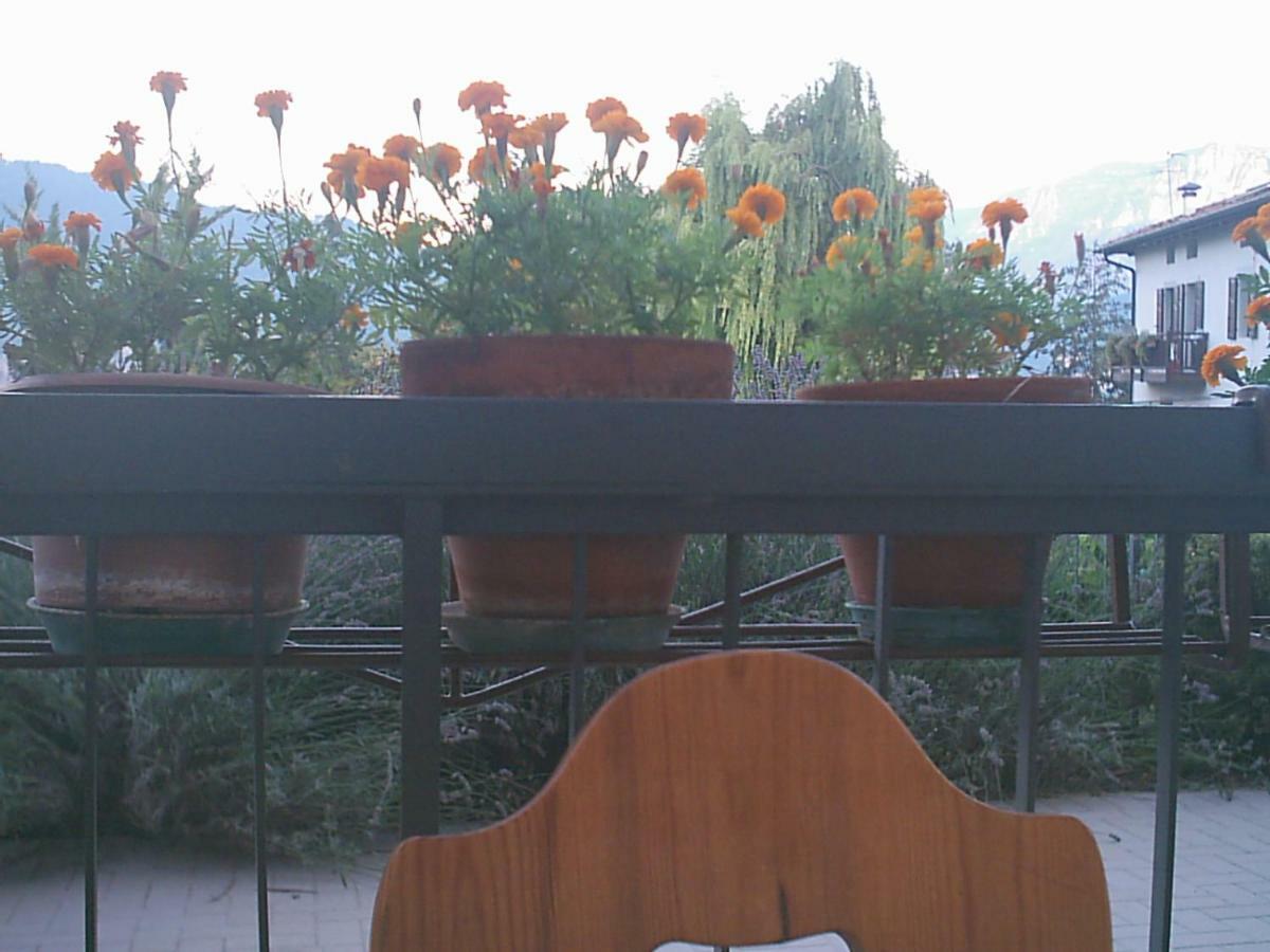 B&B La Pinara Trento Exteriér fotografie