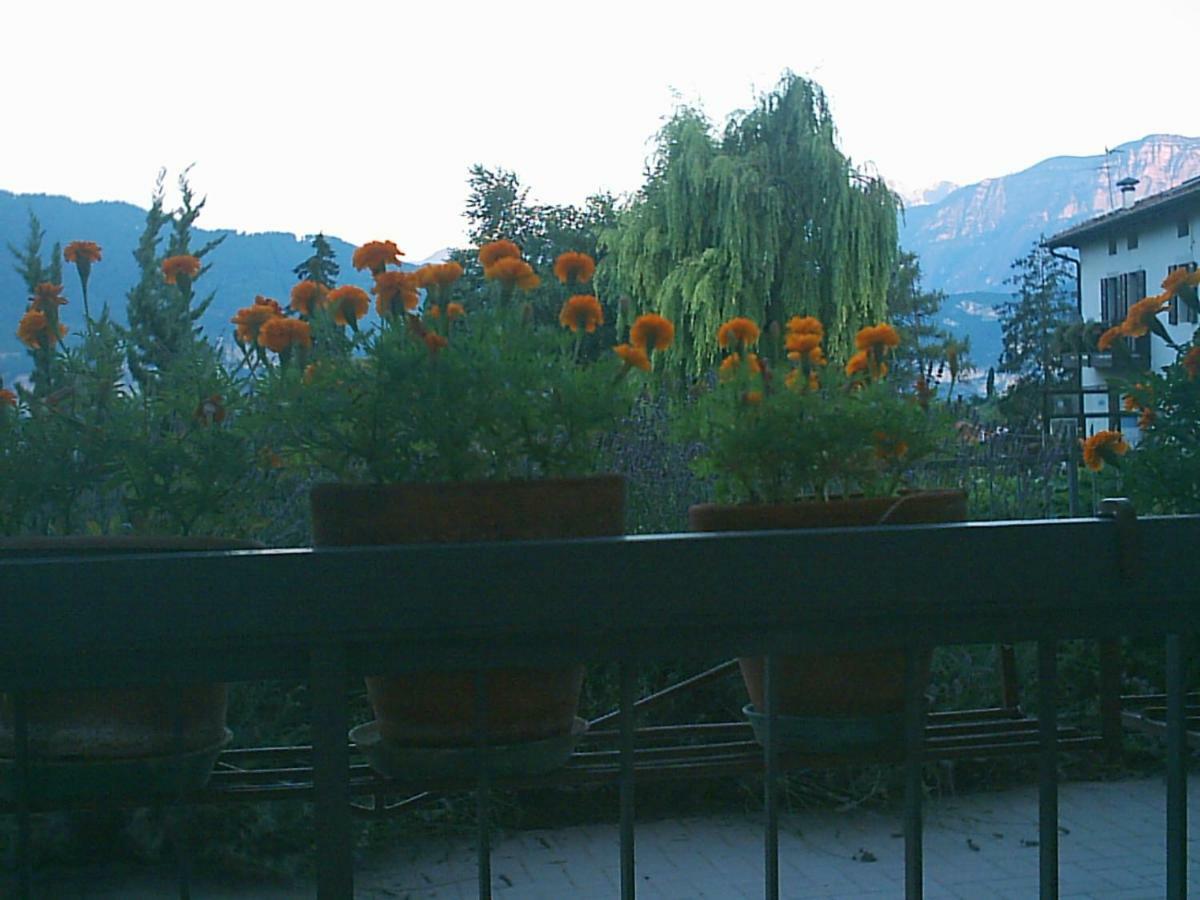 B&B La Pinara Trento Exteriér fotografie